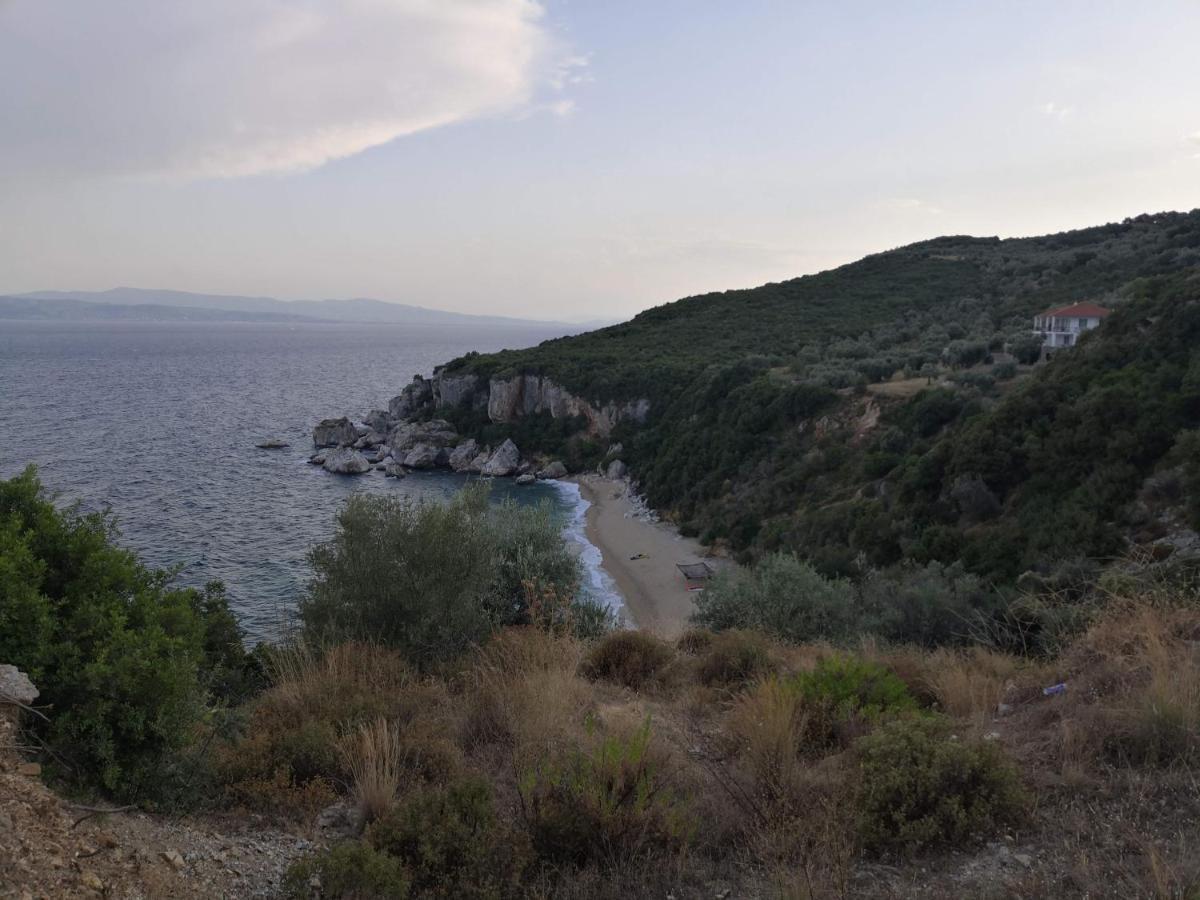 Omikron Εξωτερικό φωτογραφία