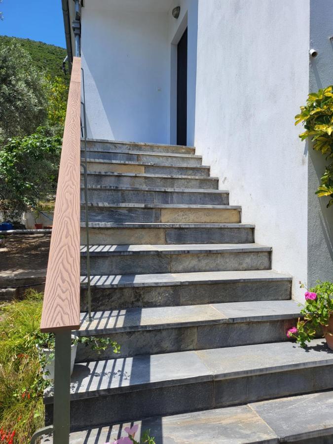 Omikron Εξωτερικό φωτογραφία
